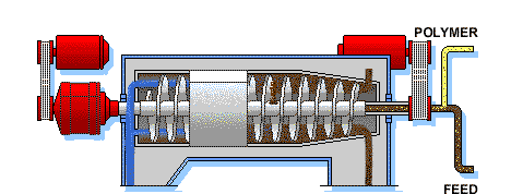 5.gif